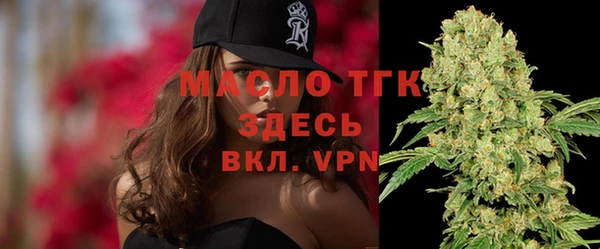 прущие грибы Ельня