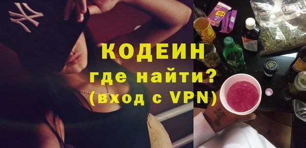прущие грибы Ельня