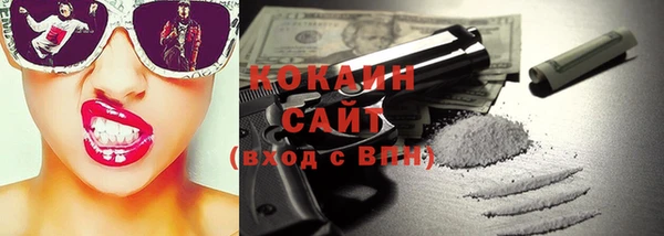 прущие грибы Ельня