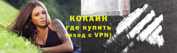 прущие грибы Ельня