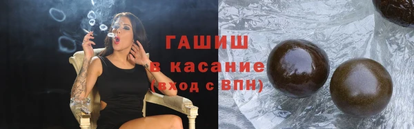 прущие грибы Ельня