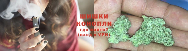 прущие грибы Ельня