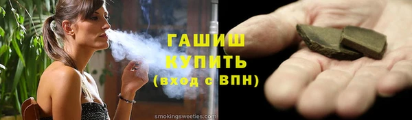 прущие грибы Ельня
