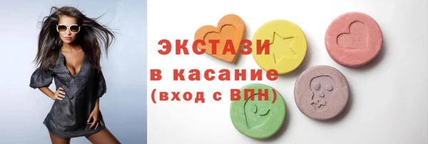 мдпв Елабуга