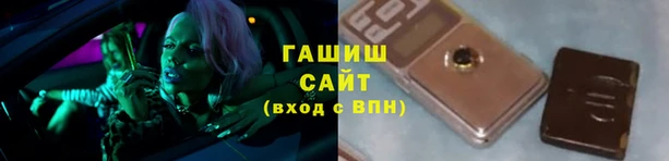 прущие грибы Ельня