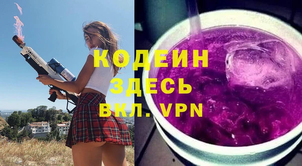 мдпв Елабуга