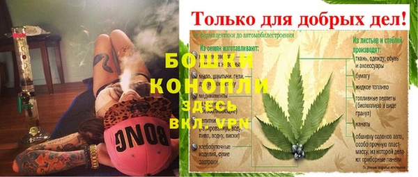 прущие грибы Ельня