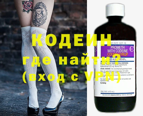 прущие грибы Ельня