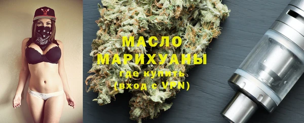 мдпв Елабуга