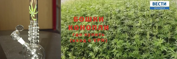 мдпв Елабуга