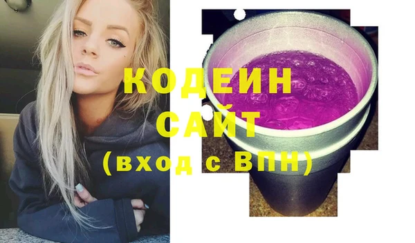 прущие грибы Ельня