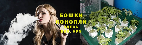 прущие грибы Ельня