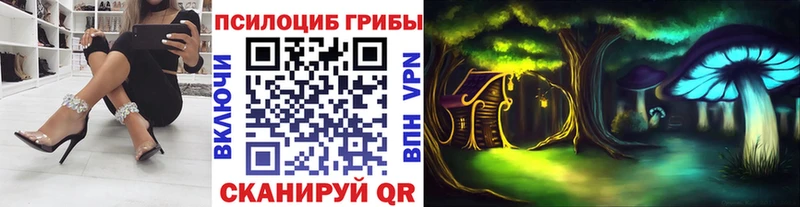 Купить закладки  Ершов  Псилоцибиновые грибы мицелий 